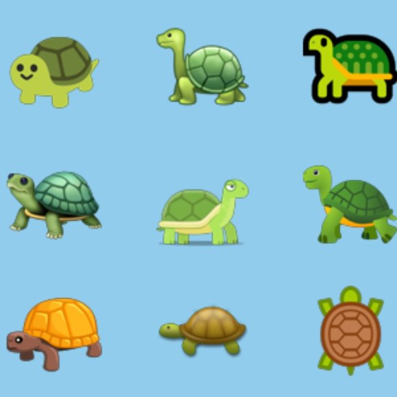 Meet 10 tiny turtles (#10 is camera shy) - Picture 1 of 1